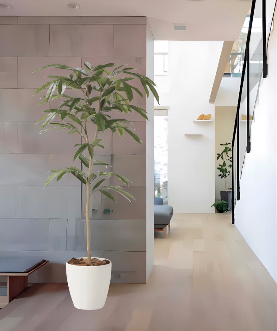 光触媒　人工観葉植物　フェイクグリーン　アムステルラバーキング 1.8m