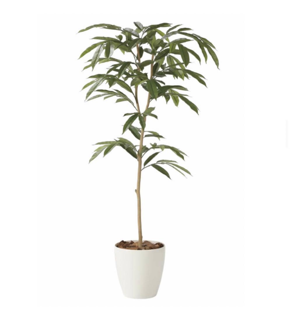 光触媒　人工観葉植物　フェイクグリーン　アムステルラバーキング 1.8m