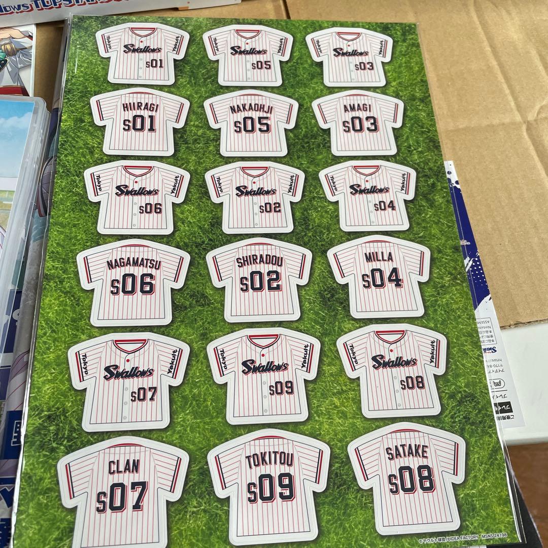 Nintendo Switch Switch My9Swallows TOPSTARS LEAGUE