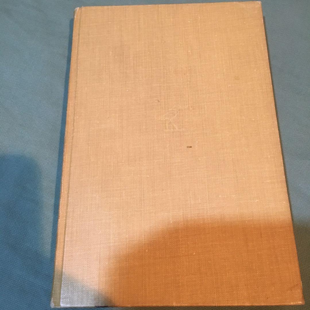 30-漢文入門　写真通りの日焼けとシミが見られます。