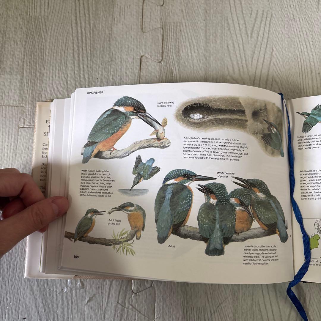 美月　3冊セット