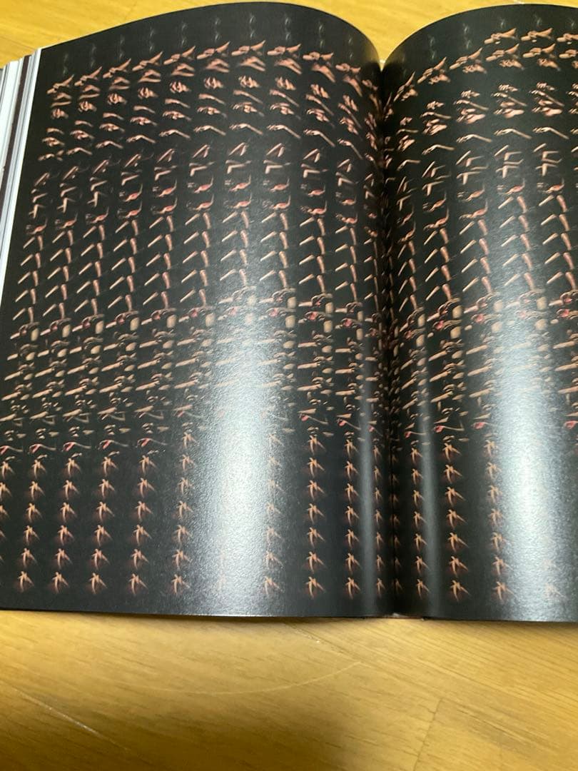 アントワーヌ・ダガタ　写真集　「赤穴」