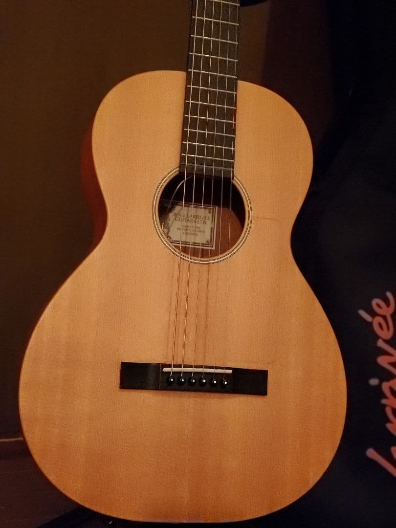 Larrivée パーラー o-01 shadow nano mag付