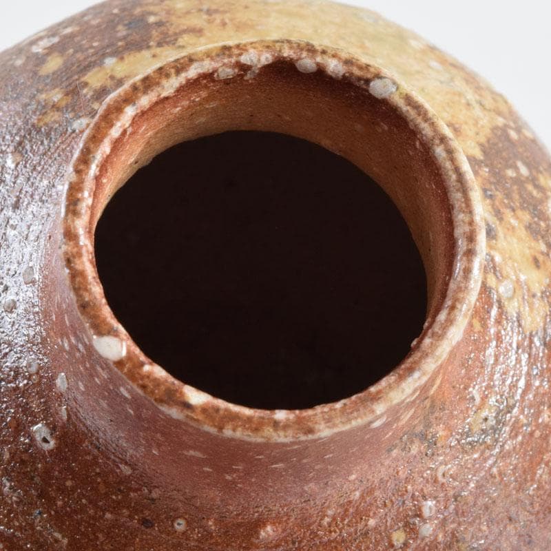 茶道具　信楽焼　上田寿方作　茶入　仕覆付　共箱　V　8952