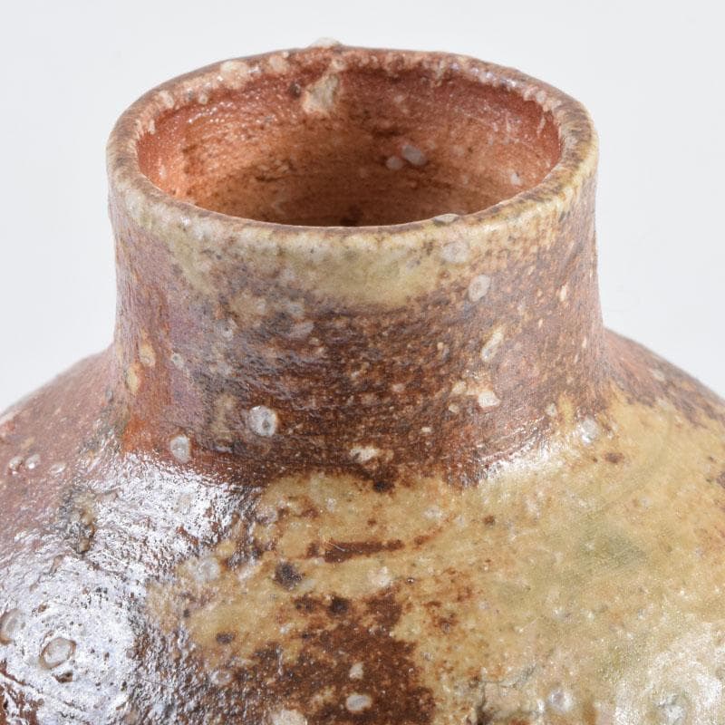 茶道具　信楽焼　上田寿方作　茶入　仕覆付　共箱　V　8952