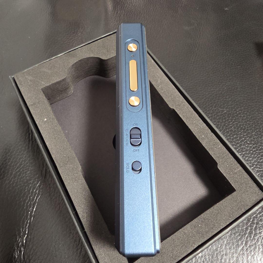 【国内正規品】 FiiO M21 /FIIO SK-M21C 別売りケース付き