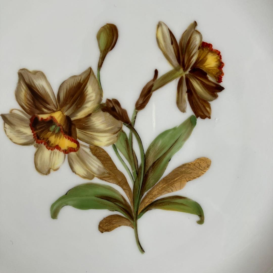 アンティークマイセン　金の葉を持つ水仙の花　プレート