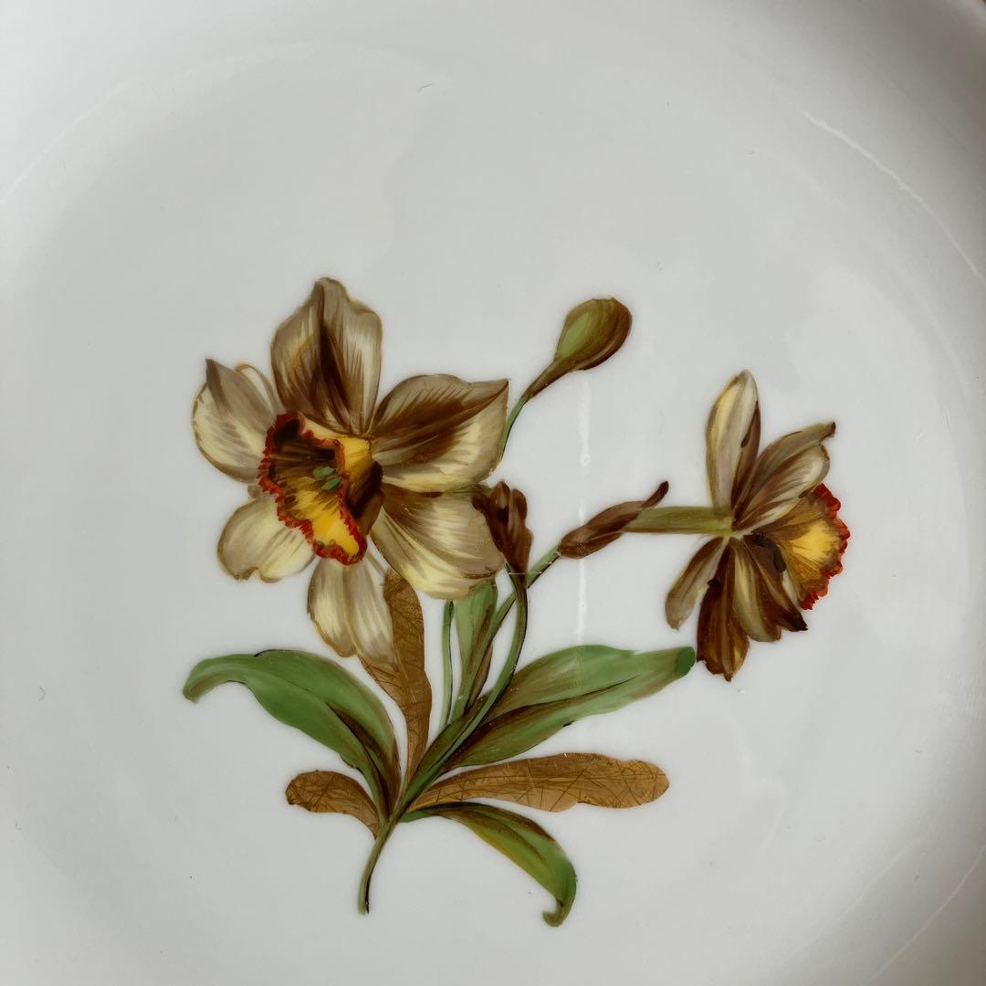 アンティークマイセン　金の葉を持つ水仙の花　プレート