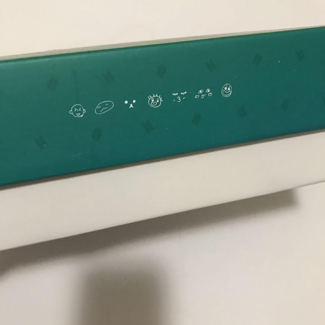 BTSシーグリ2019 テヒョン