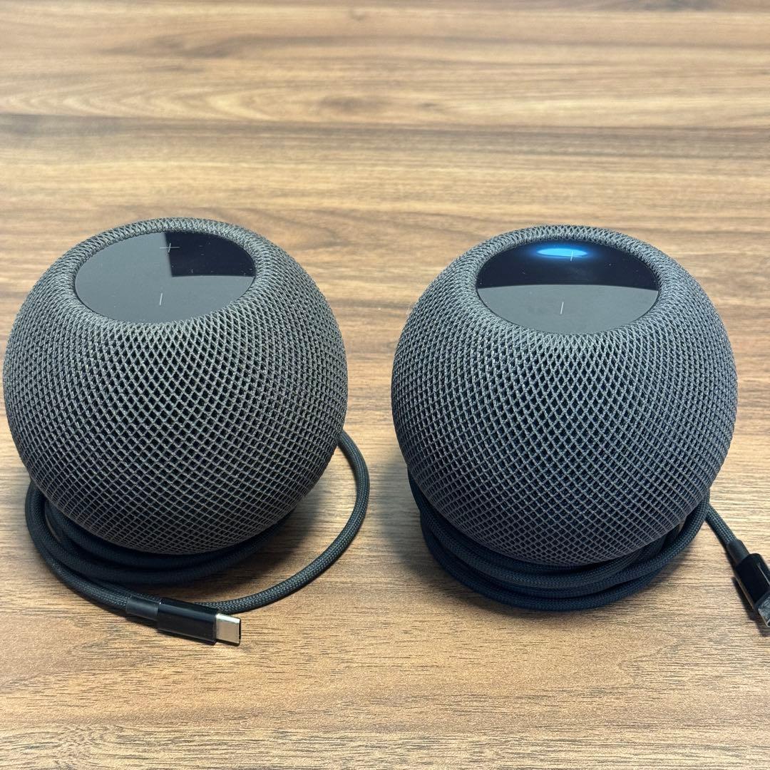 Apple Pod mini スペースグレイ 2個セット