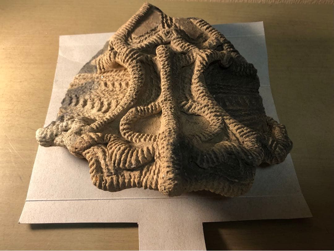 「土器の欠片 縁の部分 No.697」です。