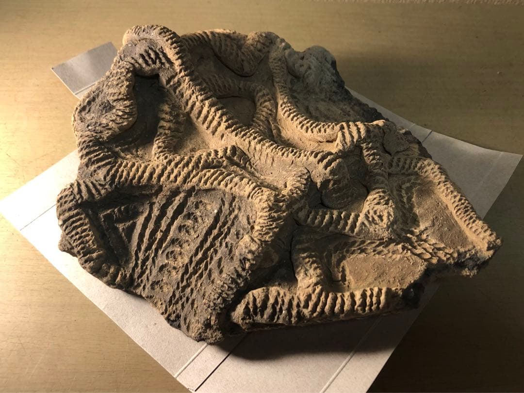 「土器の欠片 縁の部分 No.697」です。