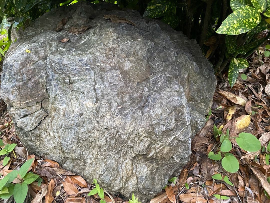 庭石 灰色 約75×80×45㎝ 自然石【石川県引き取り限定】まとめ割