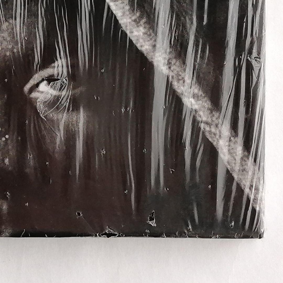 シュリンク包装ブルース・ギルデン写真集ハイチHAITI