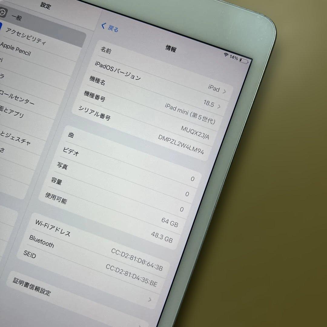 iPad mini5 第5世代　64GB Wi-Fi 割れなし