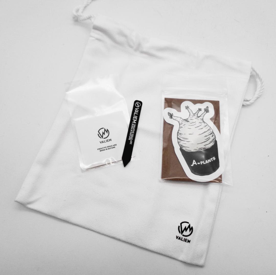 〖VALIEM+A-PLANTS POT M〗A-PLANTS 5周年記念植木鉢