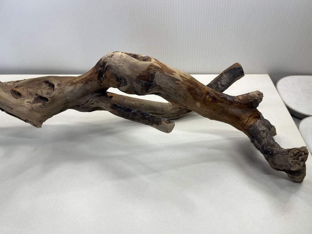 k36特大流木 アク抜き済み 爬虫類シェルター レイアウト用 登り木 インテリア