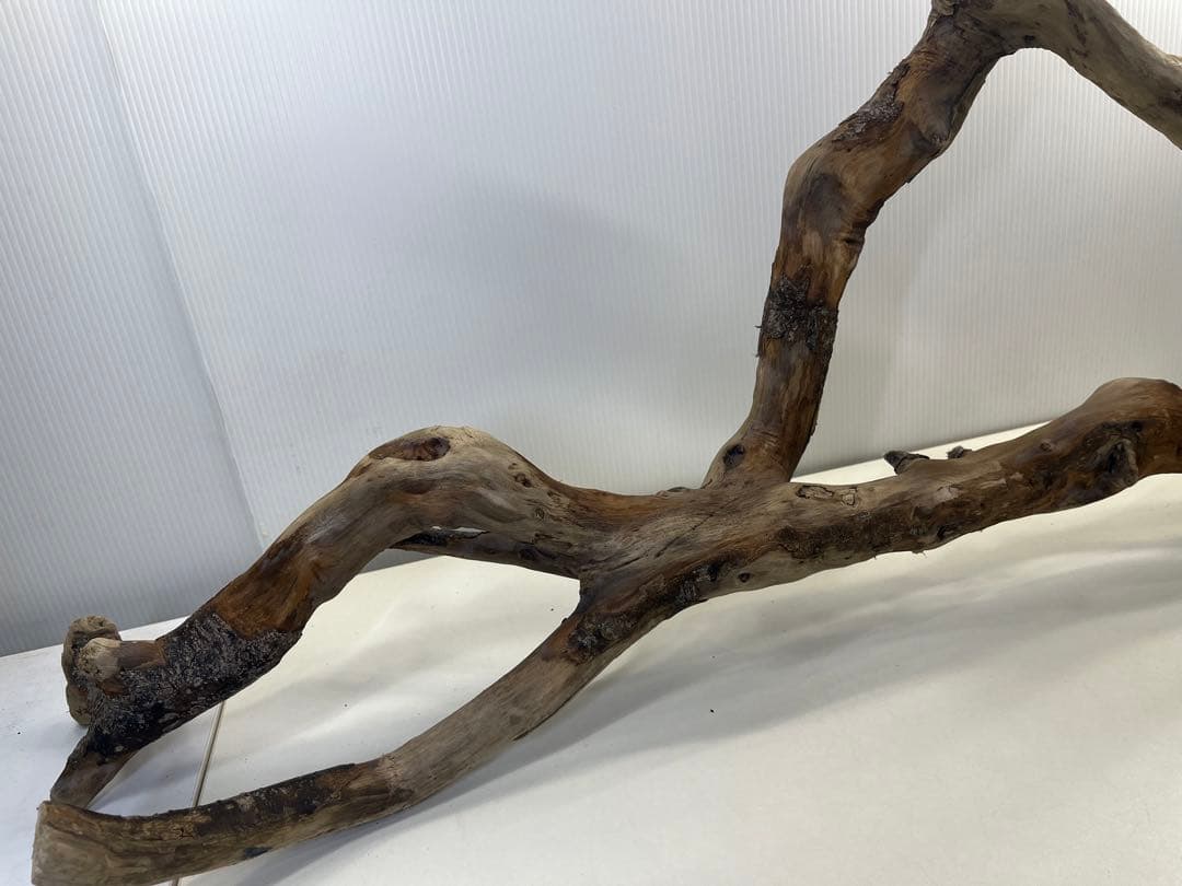 k36特大流木 アク抜き済み 爬虫類シェルター レイアウト用 登り木 インテリア