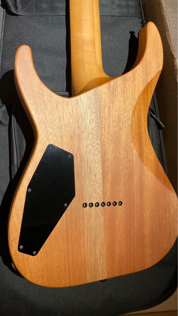 【パーツ交換あり】E-HR7-FX/BM (Black Burst) 7弦