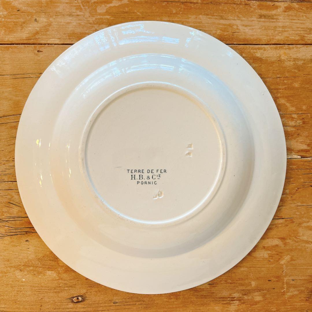 ショワジールロワ　淡いグリーンが素敵な花柄のスーププレート