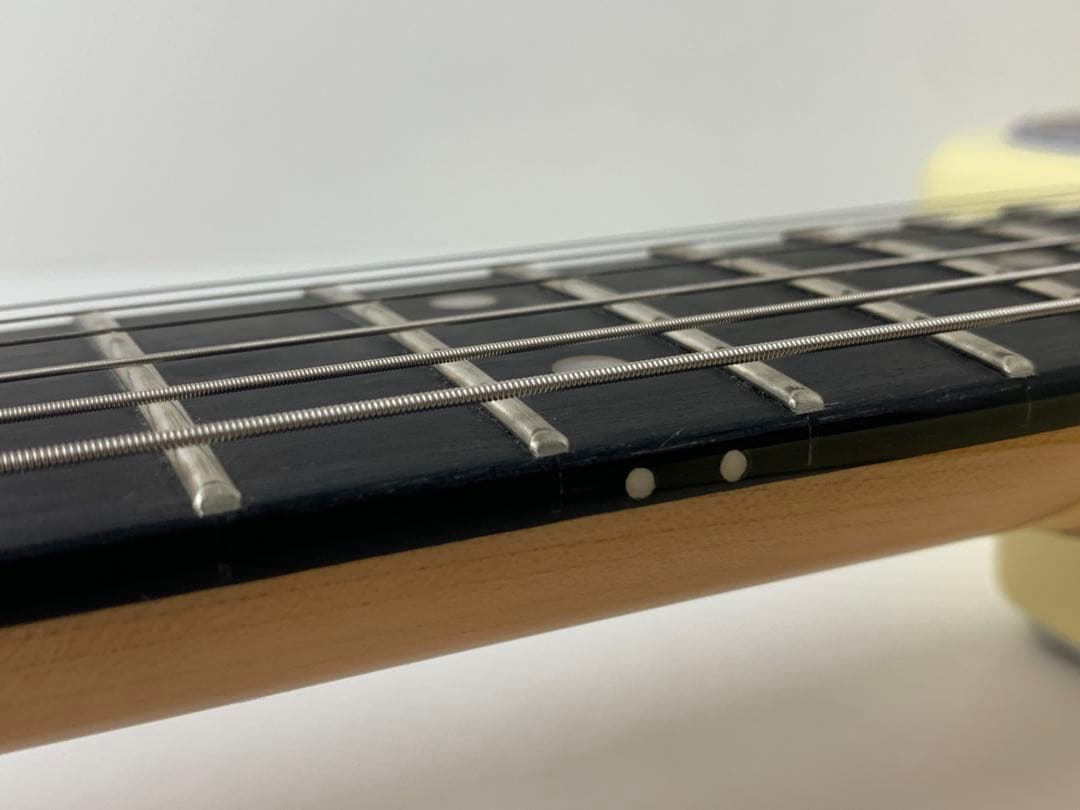 Tagima Guitars タジマギターズ TW-61 エレキギター