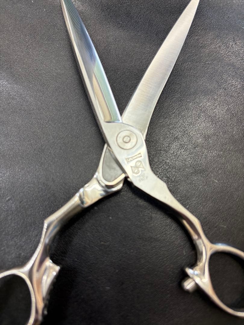 トギノン　シャークスプレッド