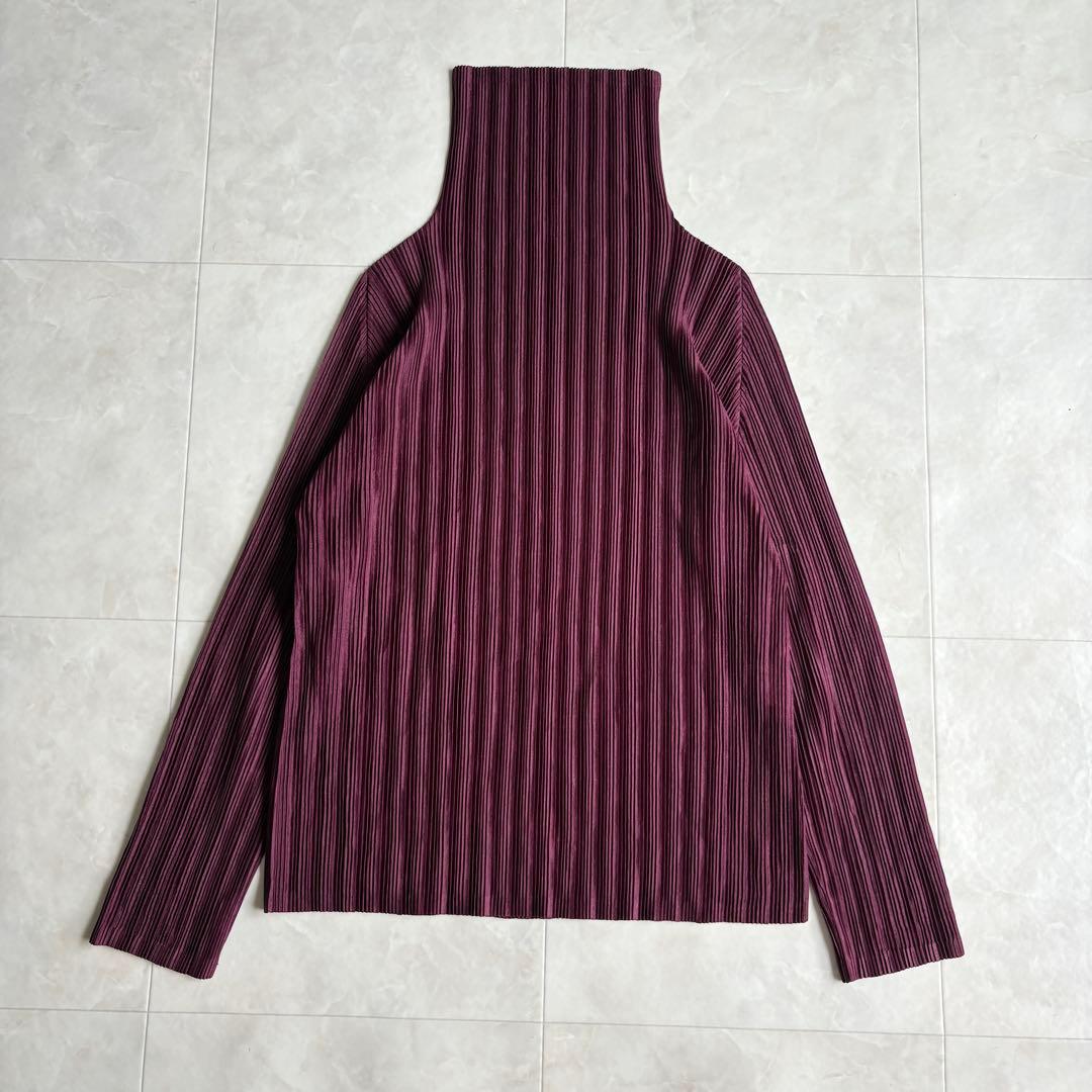 希少色✨ プリーツプリーズ タートル長袖プリーツトップ ワイン 3 日本製 伸縮