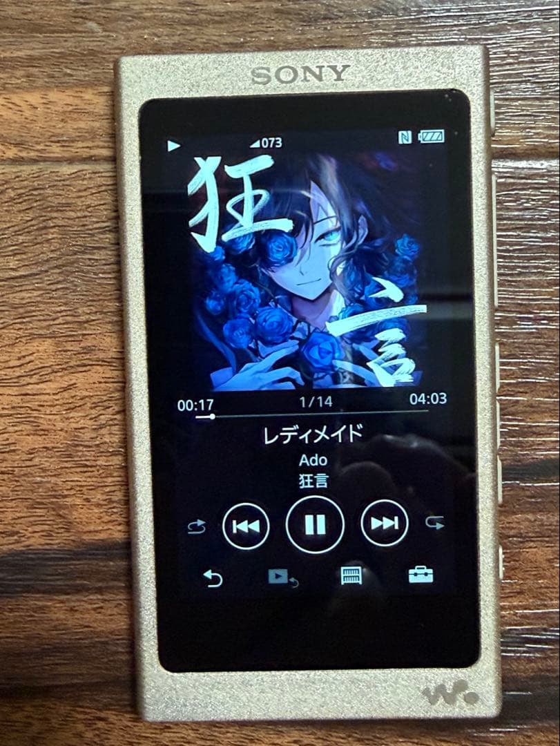 美品！バッテリ良好ソニー ウォークマン NW-A45 16GBシャンパンゴールド