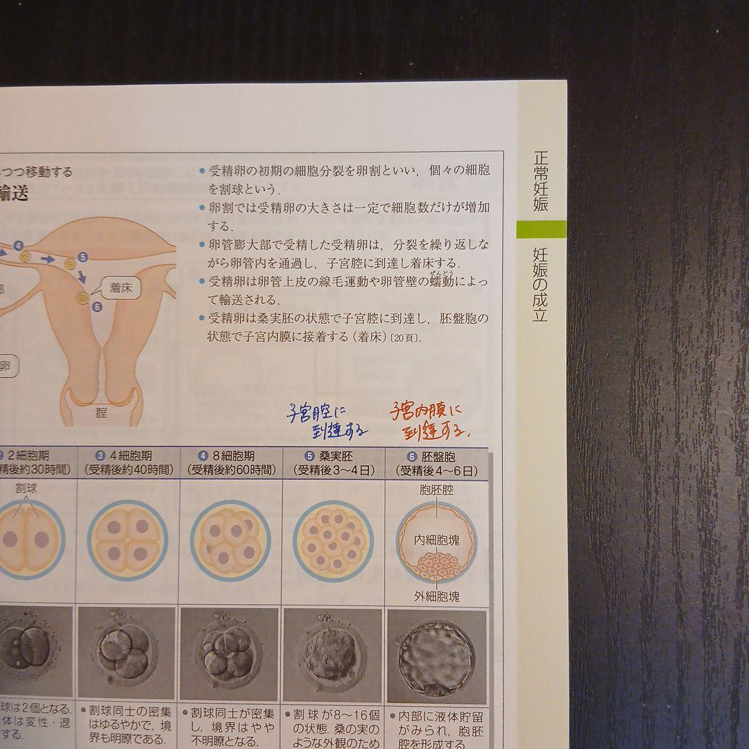 病気がみえる セット 1～10