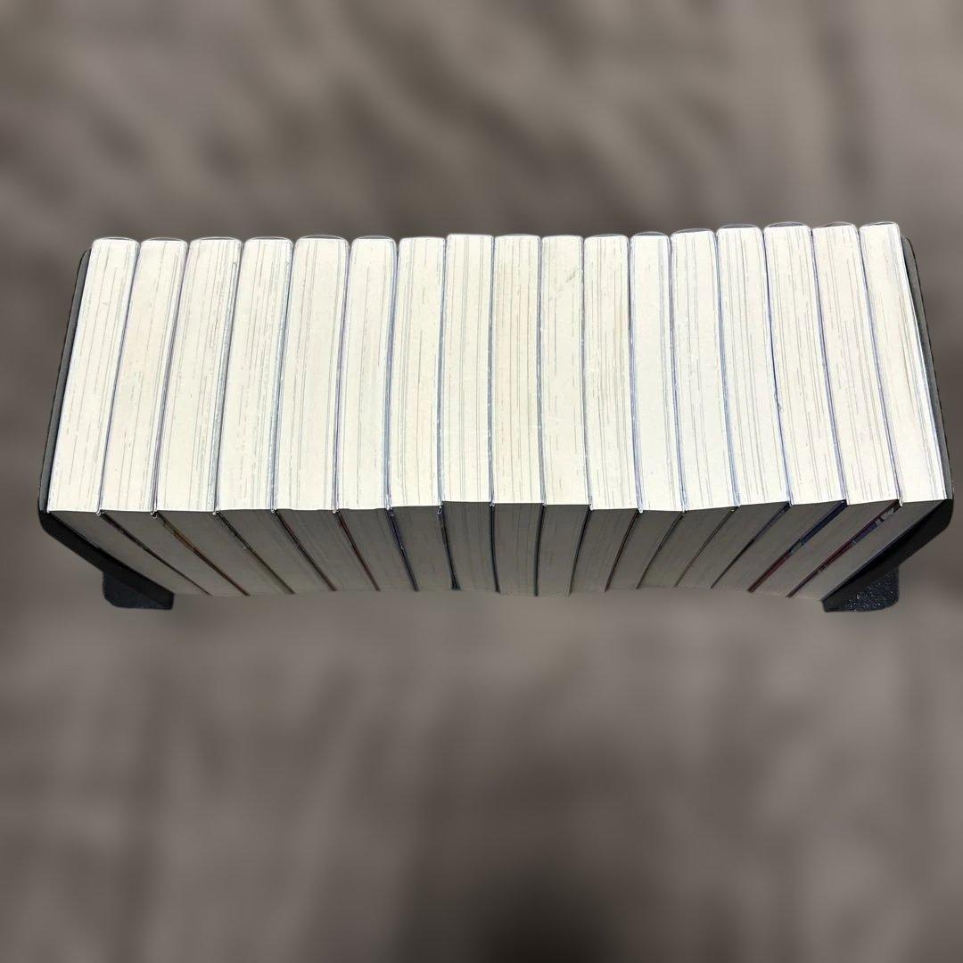 水属性の魔法使い 15冊 久宝忠 天野英 アニメ化