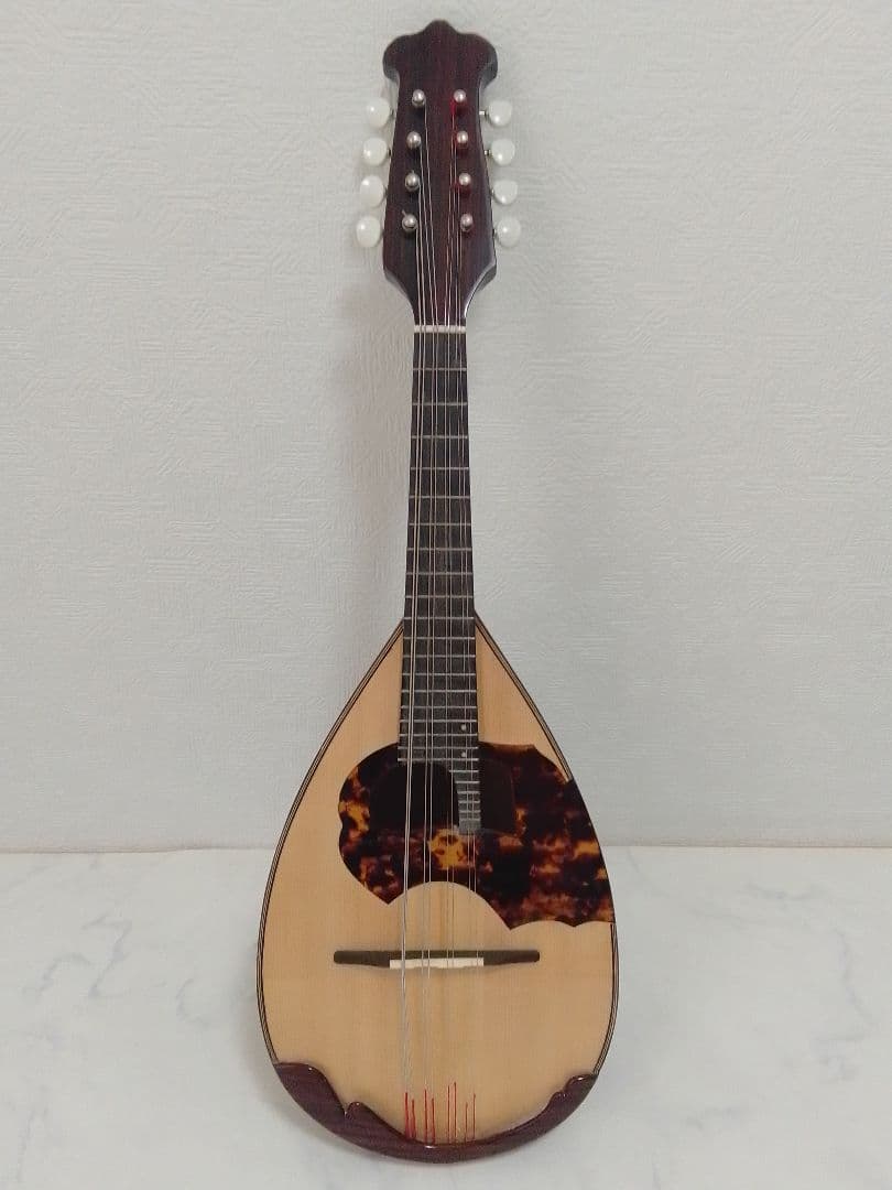 マンドリン 渡辺精次 No.70 Anno1995 Watanabe ケース付