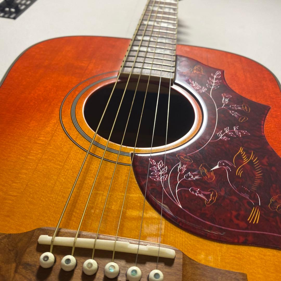 Epiphone Hummingbird Studio アコギ