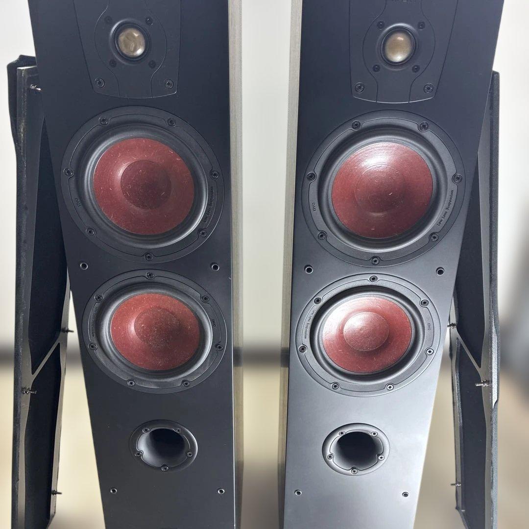 動作確認済みDALIトールボーイ型スピーカー「IKON 6 MK2」 ♣️0431