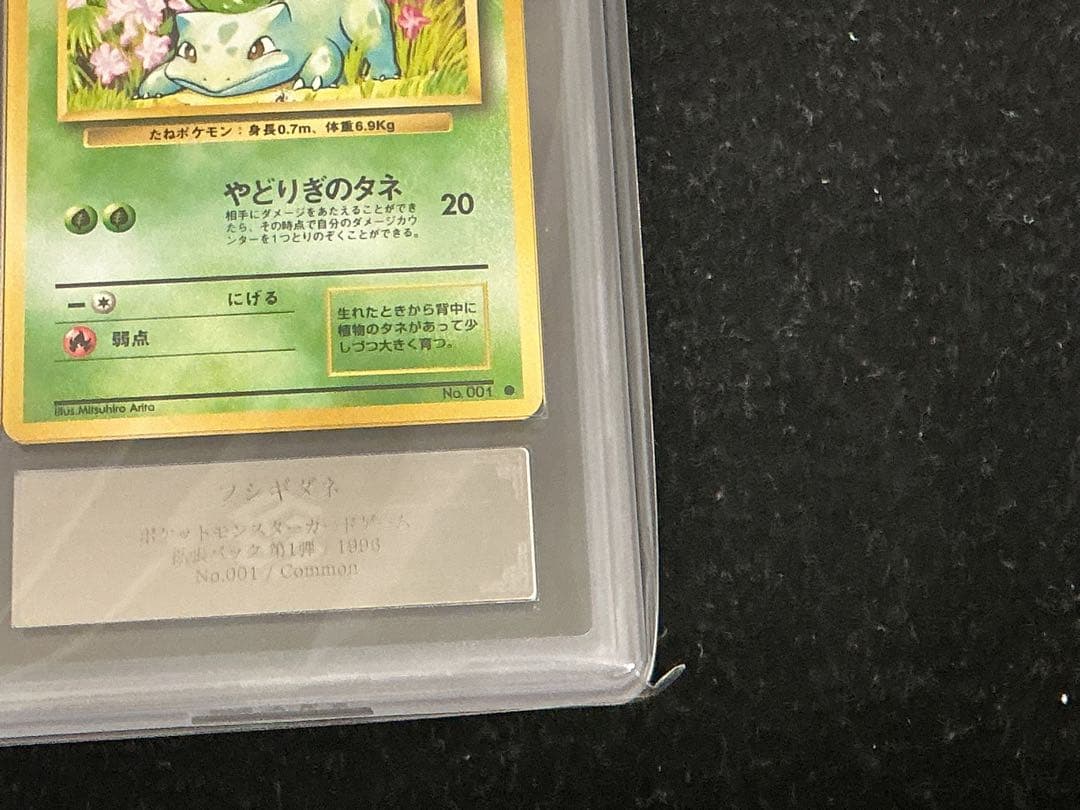 ars10 フシギダネ　　ヒトカゲ　旧裏　　第一弾