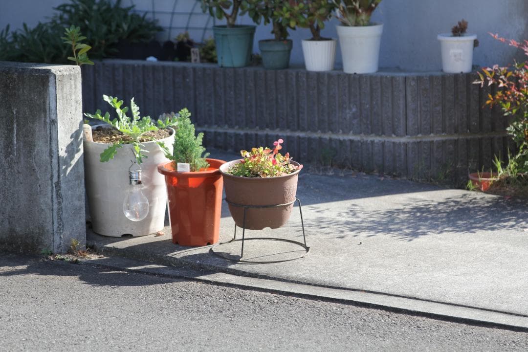 キャノン Canon EF 70-200mm F2.8 L IS II USM