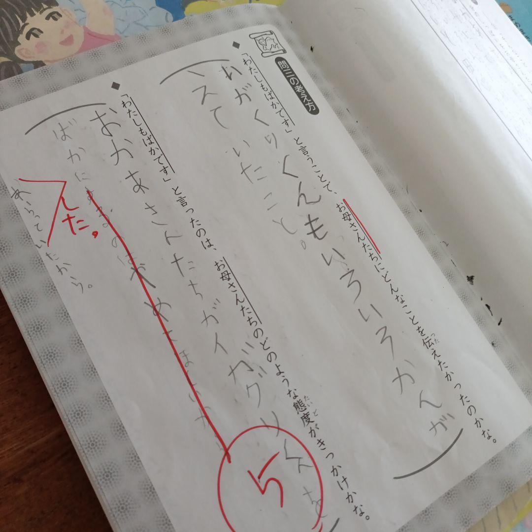 【SAPIX国語3年】デイリーサピックス全17回& サマーサピックス 全8回