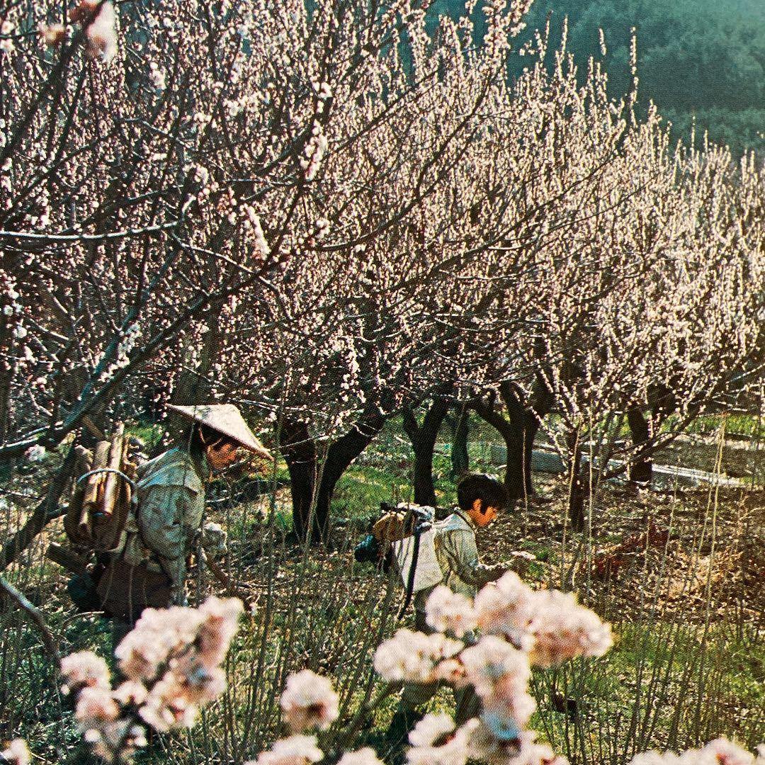 パンフレット「砂の器」サントラレコード盤