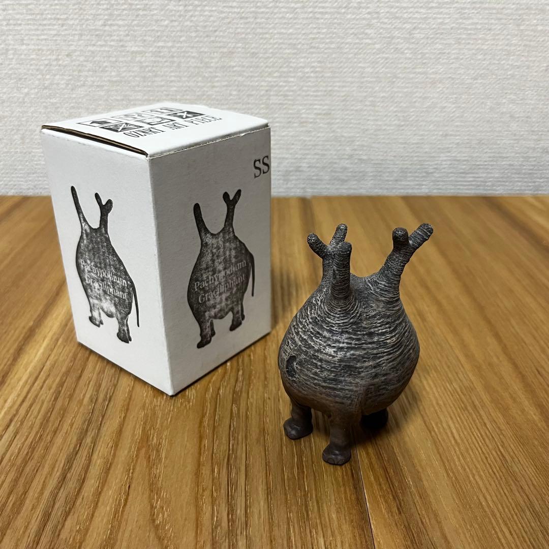 OZWRT Pachypodium Graciliphant グラキリファン