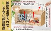 2272 小動物/爬虫類用 ペットケージ Lサイズ(幅80cm) 木製無垢材