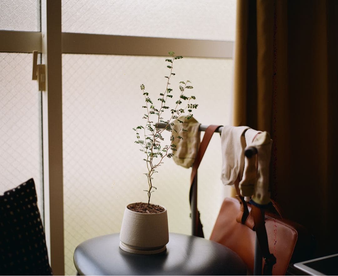 MAMIYA SEKOR C 80mm f1.9 現状品