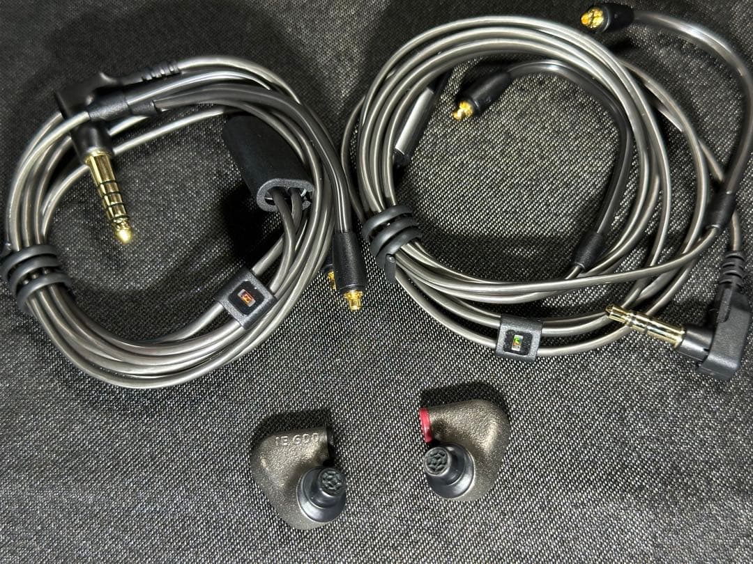 Sennheiser IE 600 正規品