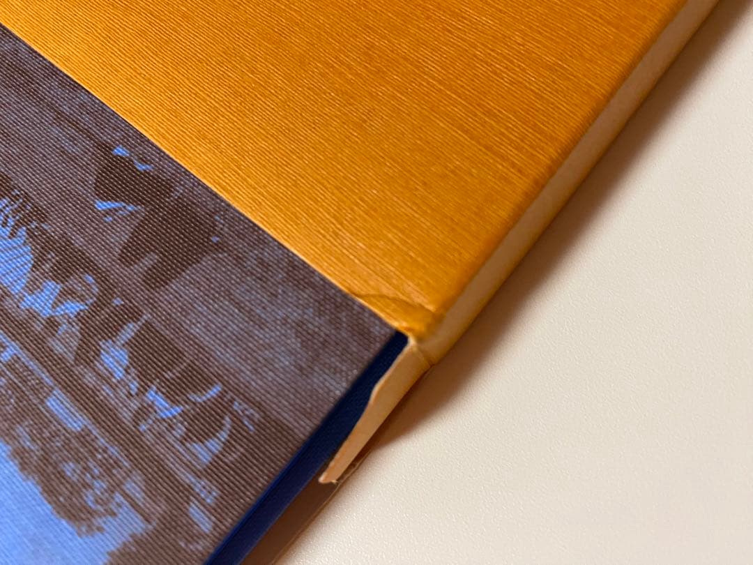 地図・旅行ガイド Louis Vuitton city guide