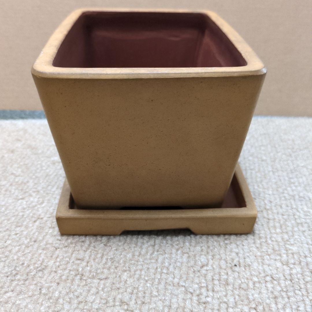 盆栽鉢　陶器 受け皿付き