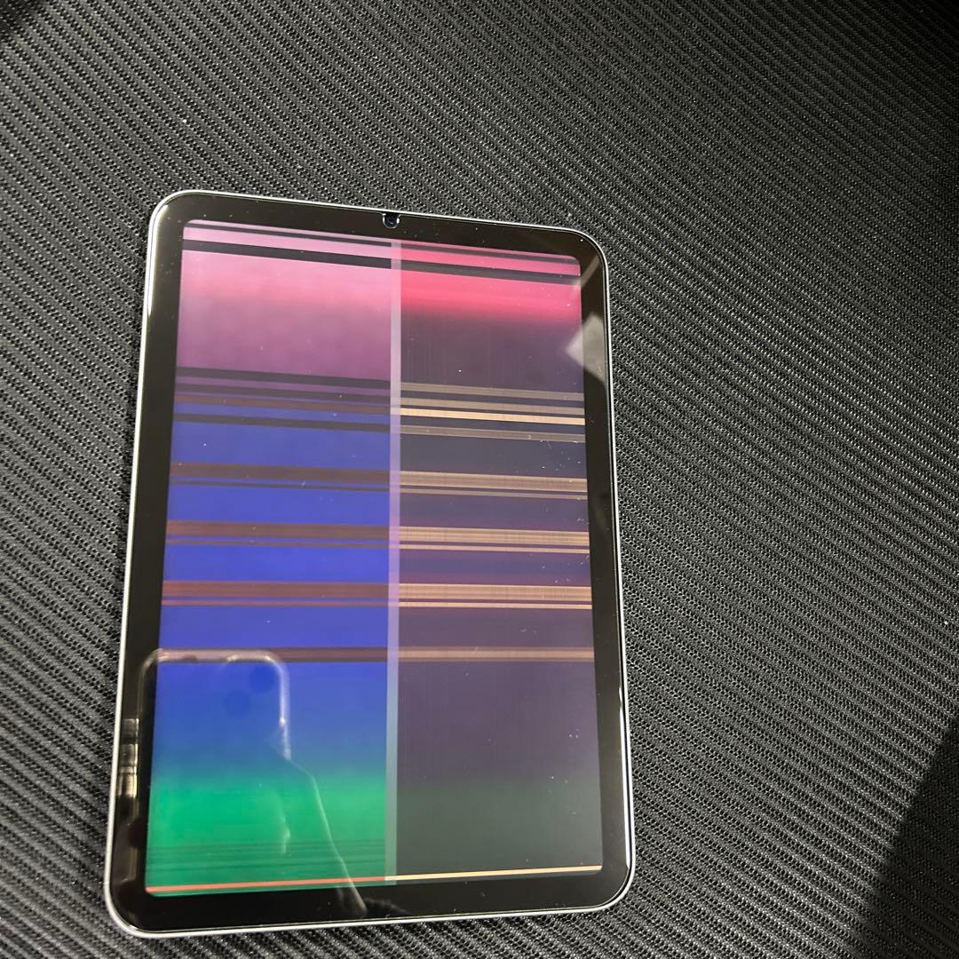 ジャンク　iPad mini (第６世代) Wi-Fi スペースグレイ