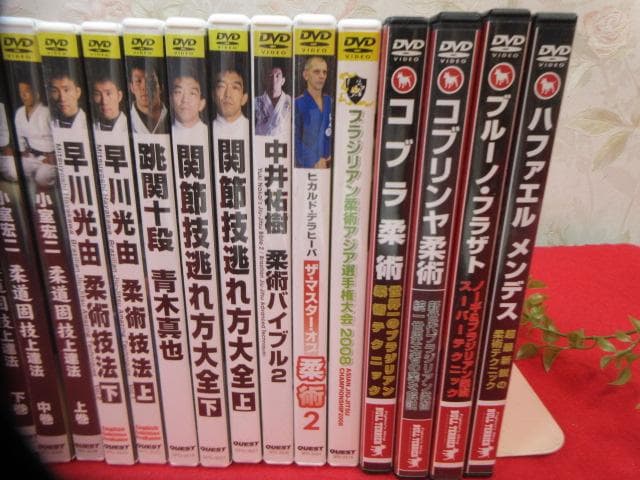 j*n様 8YY384　大量 DVD21本 ブラジリアン柔術完全教則/柔術技法D