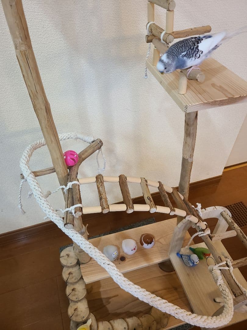 ⑤K25☆プロフ必読☆ページ　バードアスレチック　ハンドメイド