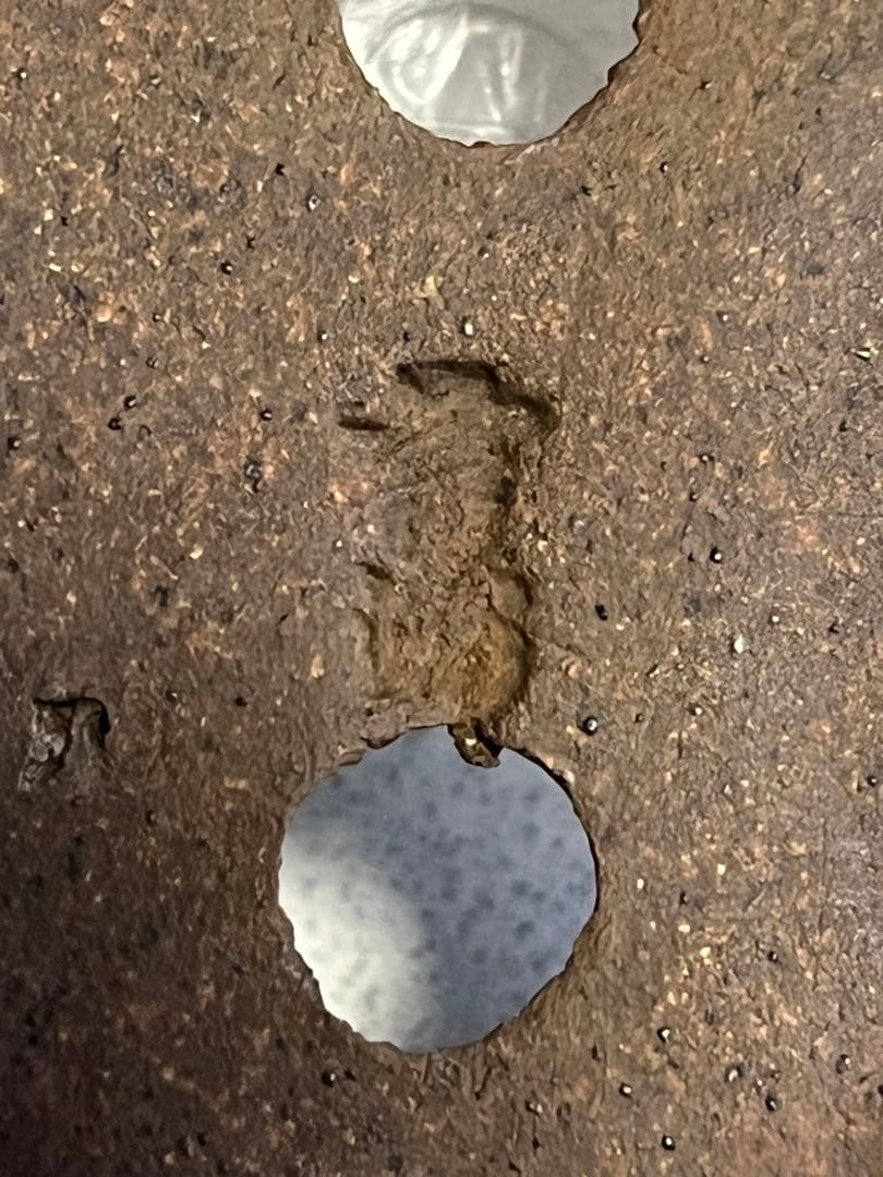 盆栽鉢　植木鉢　陶芸　盆栽