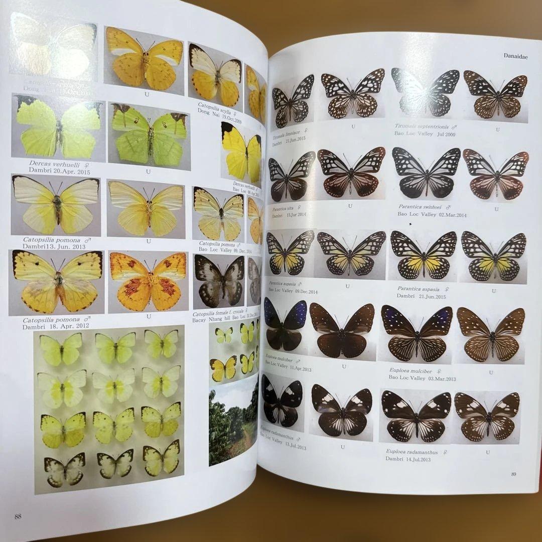 南ベトナム採集紀行