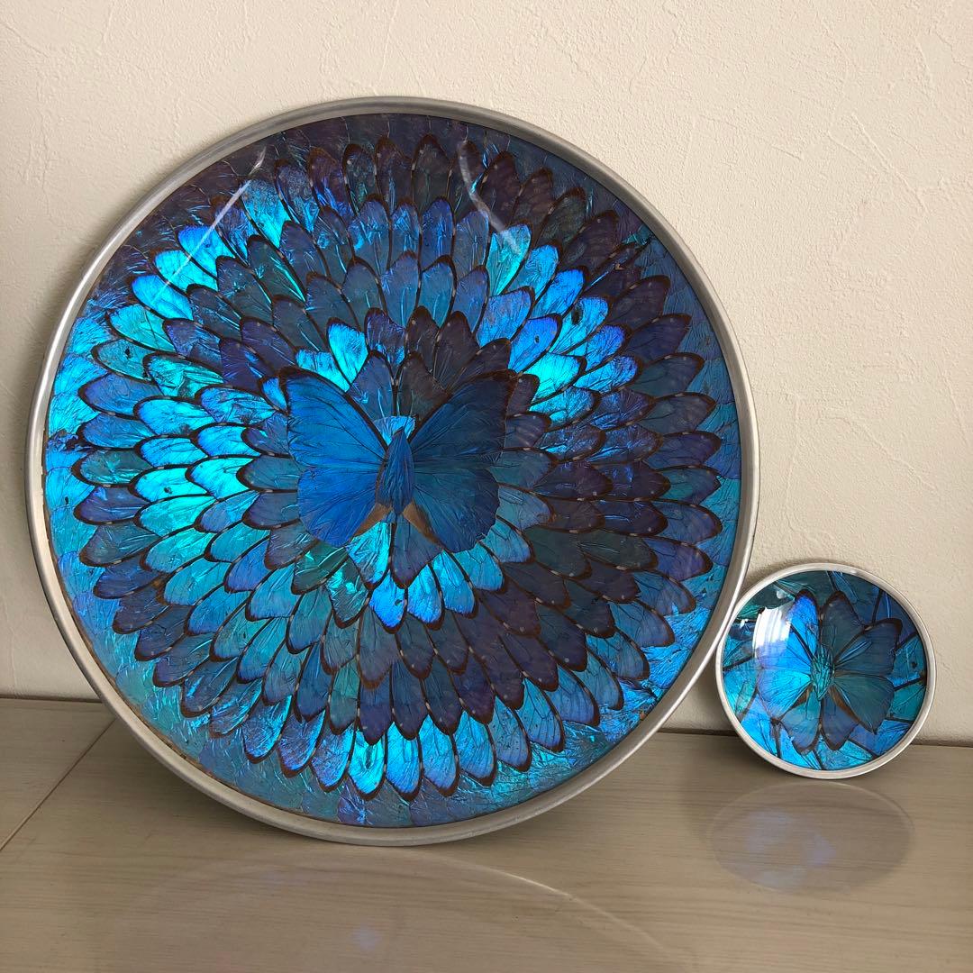 モルフォ蝶　飾り皿　標本　壁飾り　壁掛け