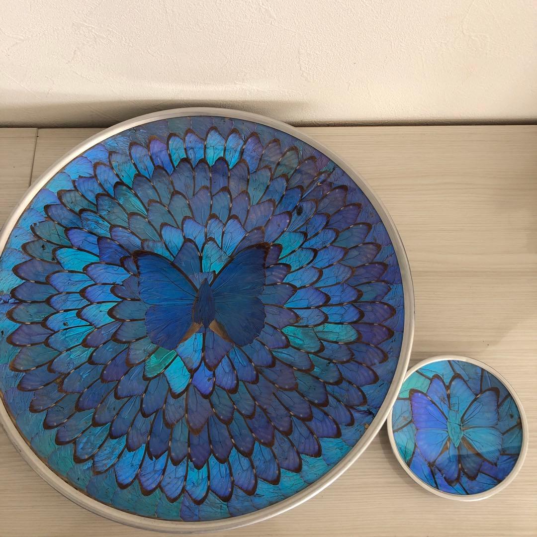 モルフォ蝶　飾り皿　標本　壁飾り　壁掛け